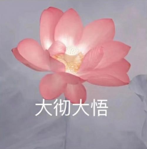 莲花头像