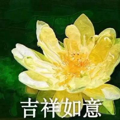 老年人微信头像