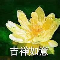 中老年微信头像