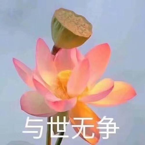 中老年微信头像