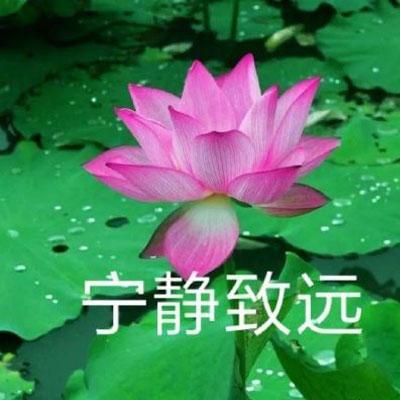 花头像微信头像 老年人