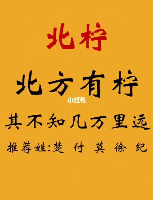 仙气飘飘的名字