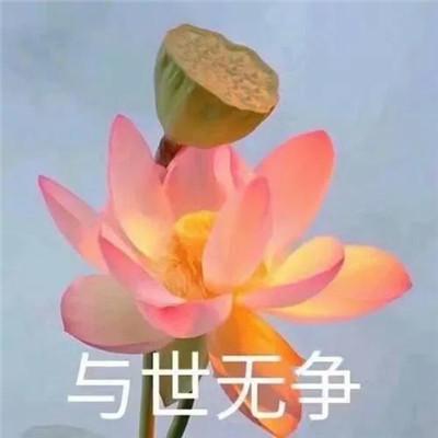 花开富贵微信头像