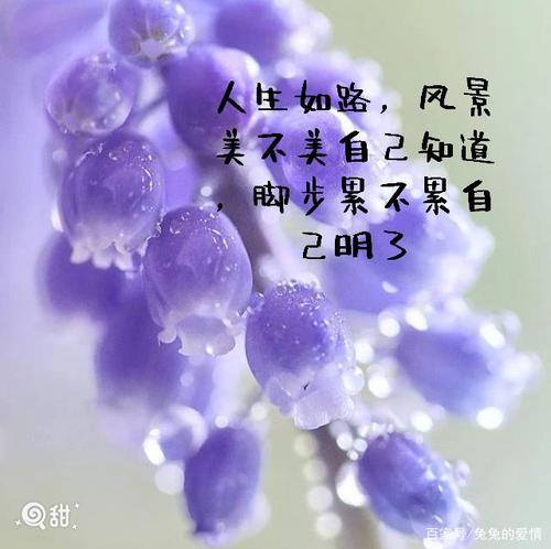 人生图片唯美图片