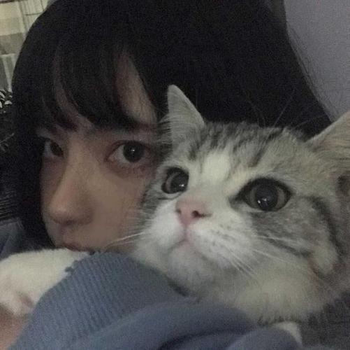 用猫做头像的女生