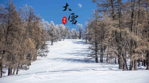 大雪唯美图片