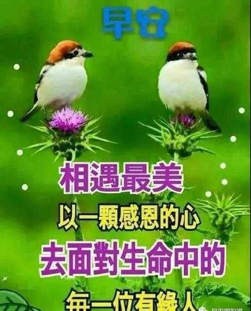 早上好唯美图片