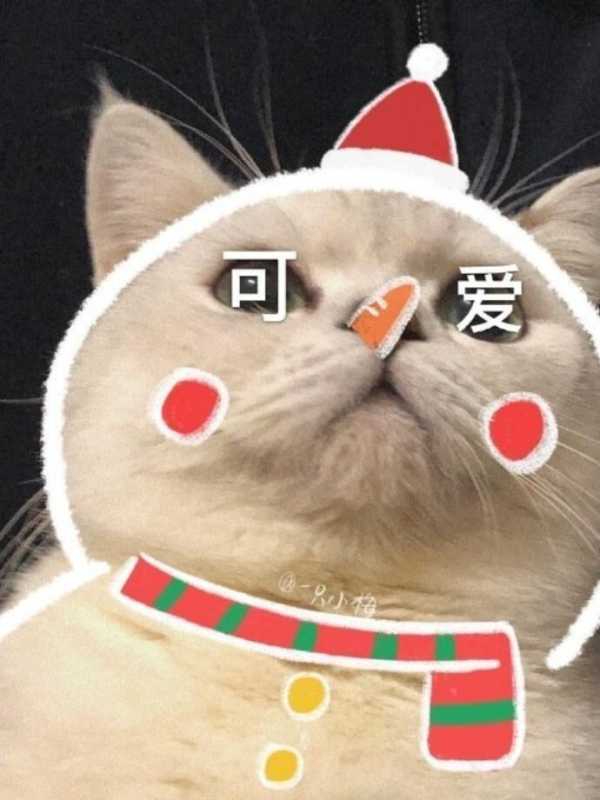 猫情侣头像