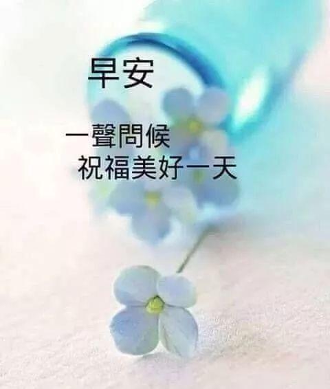 早上好唯美图片