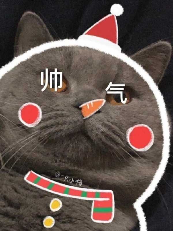 猫情侣头像