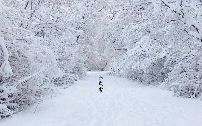 大雪唯美图片