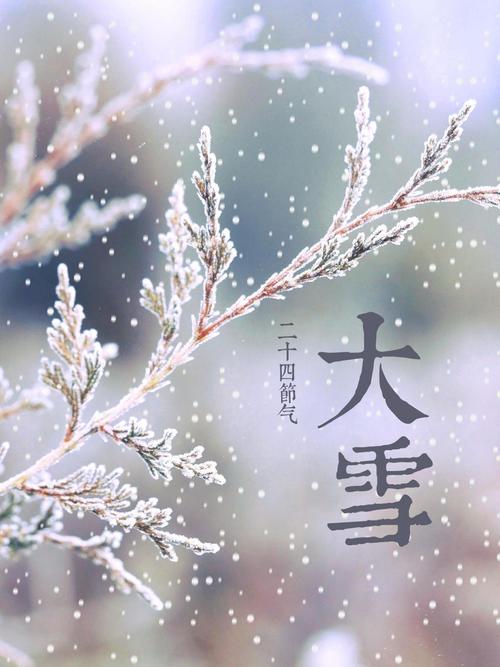 大雪唯美图片