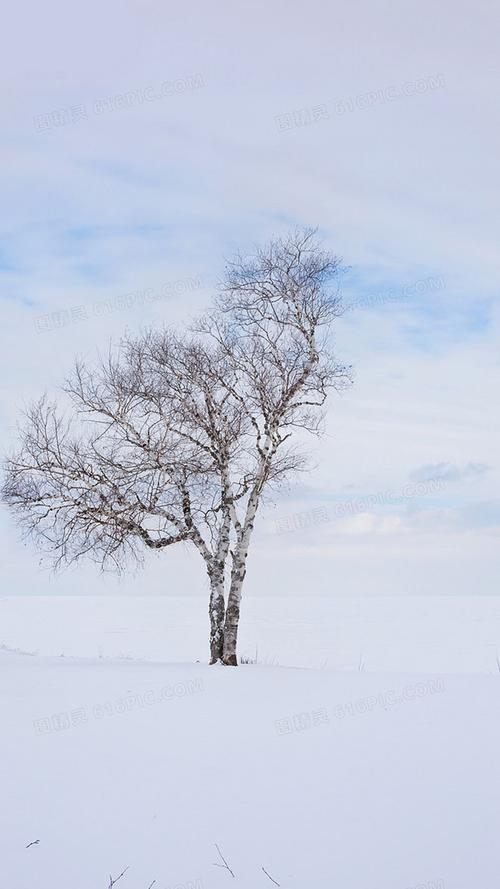 大雪唯美图片