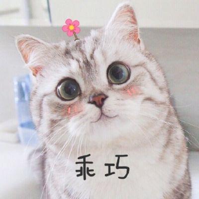 可爱猫咪头像超萌