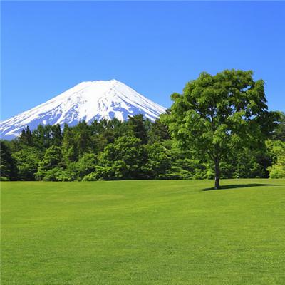 最适合属马的风景图微信头像